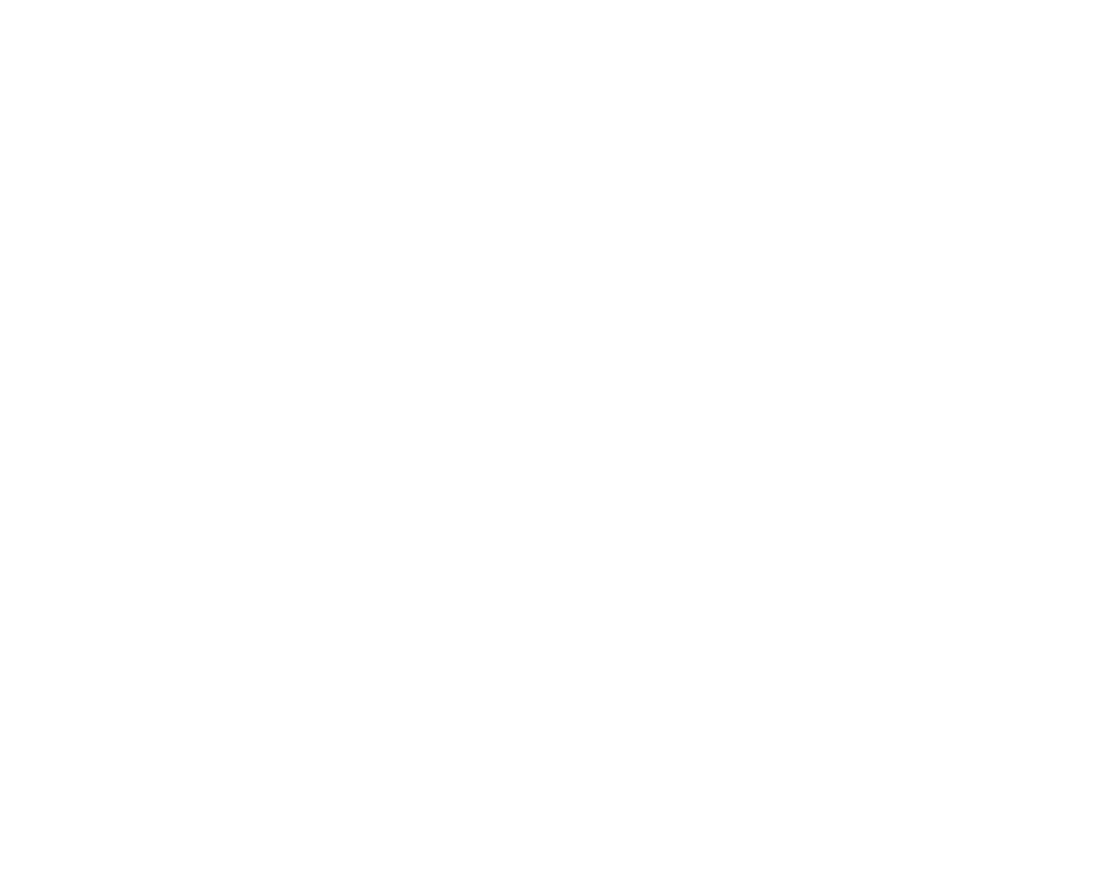 The Sound Ear Plugs