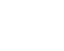 The Sound Ear Plugs